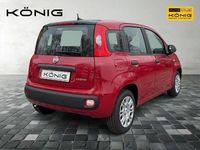 Neu Fiat Panda 69 PS (50 kW) 2025 Rot Limousine