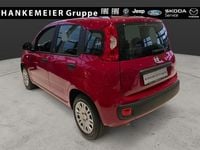Neu Fiat Panda Icon 65 PS (47 kW) 2026 Rot Kleinwagen