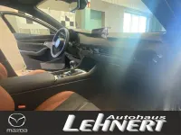 Neu Mazda 3 Nagisa 186 PS (136 kW) 2025 Kleinwagen