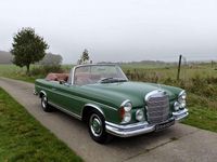 Gebraucht Mercedes 300 SE 170 PS (125 kW) 1966 Grün Cabrio