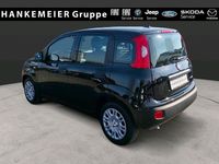 Neu Fiat Panda Icon 65 PS (47 kW) 2026 Schwarz Kleinwagen