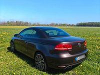 Occasion VW Eos Exclusive 140 PK (102 kW) 2007 Paars Cabriolet