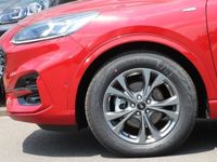Gebraucht Ford Kuga ST-Line 120 PS (88 kW) 2024 Rot SUV