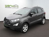 Gebraucht Ford Ecosport Cool & Connect 125 PS (91 kW) 2019 Grau (metallic) SUV