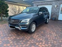 Gebraucht Mercedes ML350 258 PS (189 kW) 2014 Grau SUV