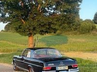 Gebraucht Mercedes 250 SE 150 PS (110 kW) 1968 Schwarz Coupé