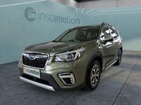Gebraucht Subaru Forester Comfort 150 PS (110 kW) 2021 Grün SUV