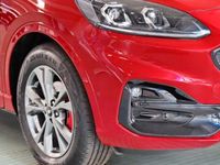Gebraucht Ford Kuga ST-Line X 150 PS (110 kW) 2024 Lucidrot SUV