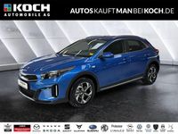 Neu Kia XCeed 150 PS (110 kW) 2025 Blue flame SUV