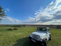 Gebraucht Jeep Wrangler 122 PS (89 kW) 1990 Weiß SUV