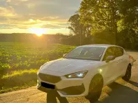 Gebraucht Cupra Leon 245 PS (180 kW) 2021 Weiß Limousine