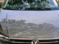 Usata VW Polo 80 CV (58 kW) 2021 Marrone Utilitaria
