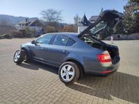 Gebraucht Skoda Octavia 105 PS (77 kW) 2016 Grau Kleinwagen