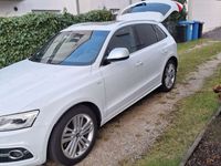 gebraucht Audi SQ5 3.0 TDI quattro competition Pano B&O