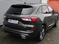 gebraucht Ford Kuga ST-Line X 2.5 FHEV Hybrid FWD *Panorama*