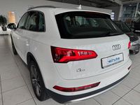Gebraucht Audi Q5 Design 190 PS (139 kW) 2017 Weiß SUV