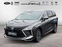 Neu DFSK Forthing 4 154 PS (113 kW) 2025 Grau Van / Kleinbus