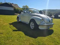 Gebraucht VW Käfer 50 PS (36 kW) 1978 Weiß Cabrio