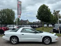 Gebraucht Pontiac Firebird 148 PS (108 kW) 1994 Weiß