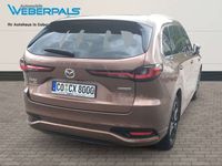 Gebraucht Mazda CX-80 Homura-Line 192 PS (141 kW) 2024 Melting copper m SUV