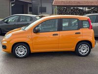 Gebraucht Fiat Panda 69 PS (50 kW) 2021 Arancio solare/zucca Kleinwagen