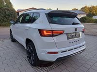 Neu Cupra Ateca Basis 150 PS (110 kW) 2025 Weiß SUV