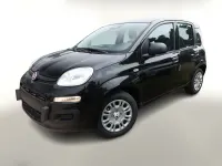 Neu Fiat Panda Icon 65 PS (47 kW) 2026 Schwarz Kleinwagen