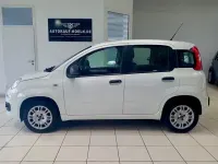 Gebraucht Fiat Panda Easy 69 PS (50 kW) 2019 Weiß Kleinwagen