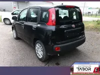 Neu Fiat Panda 69 PS (50 kW) 2025 Schwarz Kleinwagen