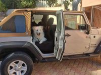Gebraucht Jeep Wrangler 284 PS (208 kW) 2015 SUV