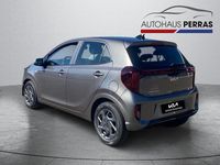 Neu Kia Picanto Vision 79 PS (58 kW) 2025 Astrograu Kleinwagen