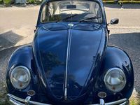 Gebraucht VW Käfer 34 PS (25 kW) 1968 Blau