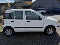 Brugt Fiat Panda Dynamic 60 HK (44 kW) 2009 Hvid Hatchback