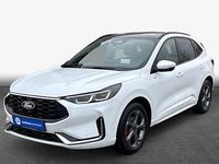 Gebraucht Ford Kuga ST-Line X 186 PS (136 kW) 2024 Frozen white SUV