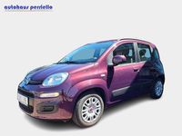 Gebraucht Fiat Panda Lounge 69 PS (50 kW) 2012 Colore esterno (melanzana mica Kleinwagen