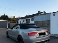 Gebraucht Audi A5 Cabriolet Advanced 239 PS (175 kW) 2009 Cabrio
