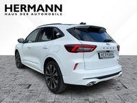 Neu Ford Kuga ST-Line X 242 PS (177 kW) 2026 Frozen white  (pn3gz) (weiß) SUV