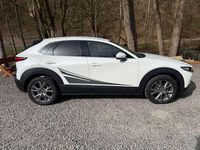 Gebraucht Mazda CX-3 Selection 116 PS (85 kW) 2020 Snowflake white SUV