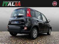 Gebraucht Fiat Panda 69 PS (50 kW) 2024 Schwarz Kleinwagen