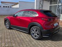 Gebraucht Mazda CX-30 Selection 150 PS (110 kW) 2021 Rot SUV