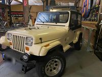 Gebraucht Jeep Wrangler 120 PS (88 kW) 1989 SUV