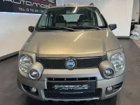 Gebraucht Fiat Panda 4x4 Cross 69 PS (50 kW) 2006 Grau Kleinwagen