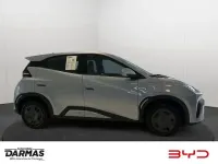 Gebraucht BYD Dolphin Surf Active 64 kW (88 PS) 2026 Blau Kleinwagen