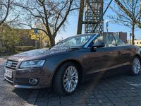 Gebraucht Audi A5 Cabriolet 211 PS (155 kW) 2009 Violet Cabrio