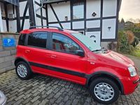 gebraucht Fiat Panda 4x4 1.2 8V Climbing