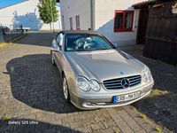 Gebraucht Mercedes CLK240 Elegance 170 PS (125 kW) 2003 Beige Cabrio