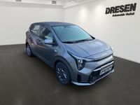 Neu Kia Picanto Vision 68 PS (50 kW) 2025 M7g) astro grey m (grau Kleinwagen