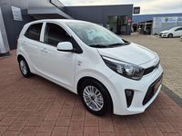 Gebraucht Kia Picanto Vision 84 PS (61 kW) 2023 Weiß Kleinwagen
