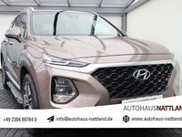 Gebraucht Hyundai Santa Fe Premium 200 PS (147 kW) 2020 Braun SUV