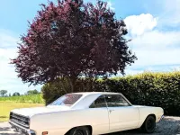 Gebraucht Dodge Dart 300 PS (220 kW) 1969 Coupé